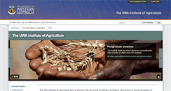 Desktop Screenshot of ioa.uwa.edu.au